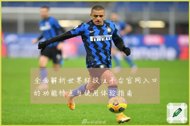 全面解析世界杯投注平台官网入口的功能特点与使用体验指南