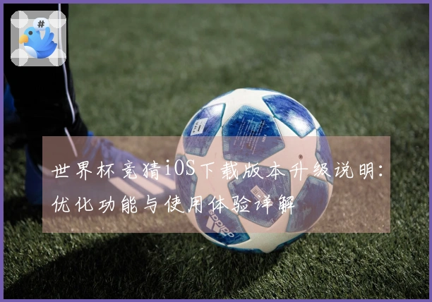世界杯竞猜iOS下载版本升级说明：优化功能与使用体验详解