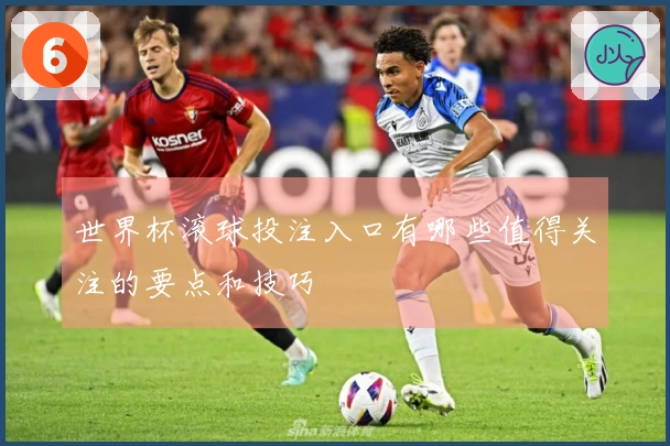世界杯滚球投注入口有哪些值得关注的要点和技巧