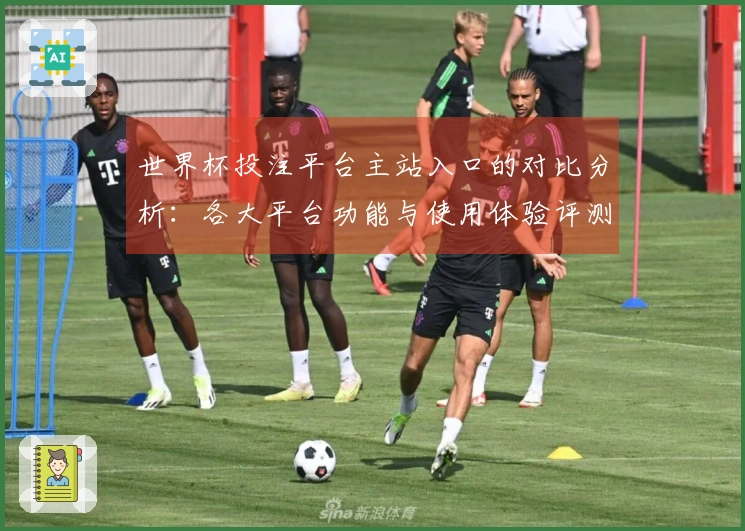 世界杯投注平台主站入口的对比分析：各大平台功能与使用体验评测