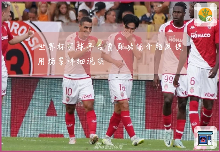 世界杯买球平台首页功能介绍及使用场景详细说明