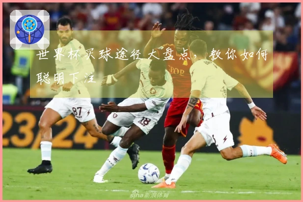 世界杯买球途径大盘点，教你如何聪明下注