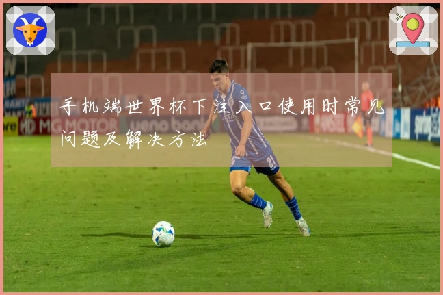手机端世界杯下注入口使用时常见问题及解决方法
