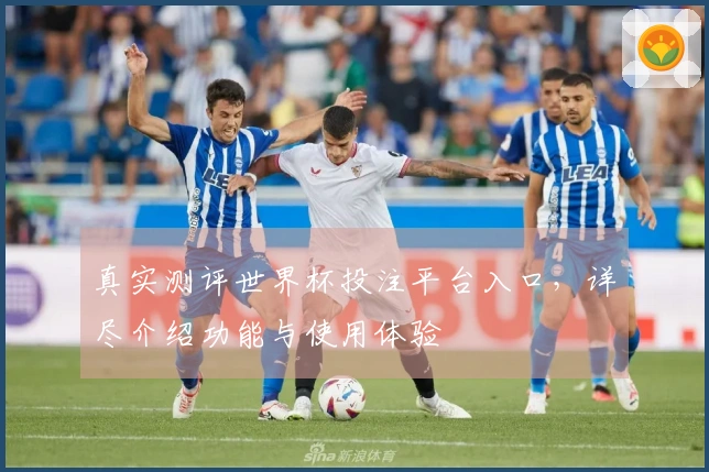 真实测评世界杯投注平台入口，详尽介绍功能与使用体验