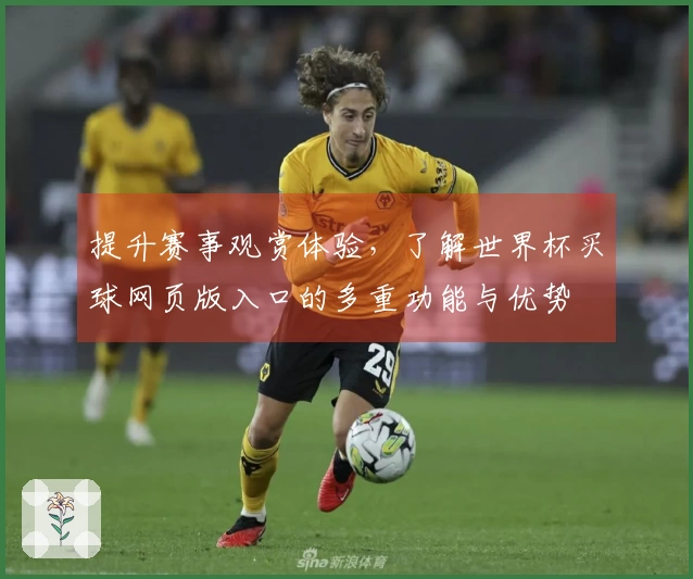 提升赛事观赏体验，了解世界杯买球网页版入口的多重功能与优势