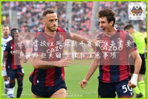 世界杯投注网站新手赛前准备需要了解哪些关键步骤和注意事项