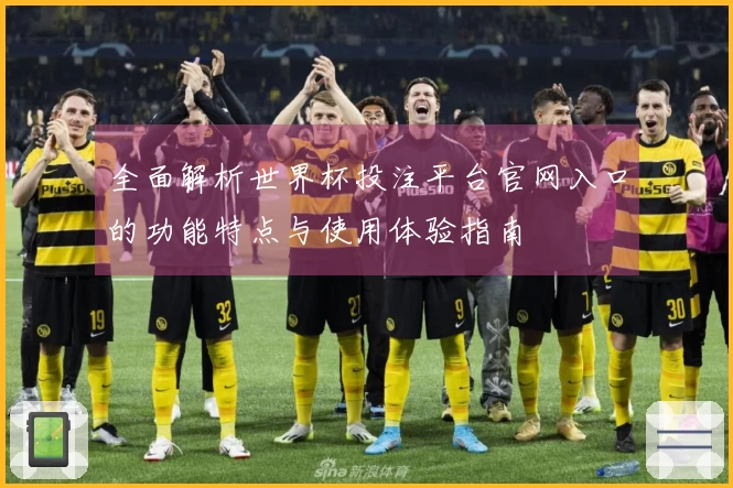 全面解析世界杯投注平台官网入口的功能特点与使用体验指南