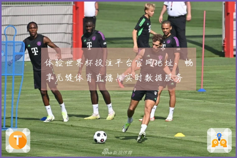 体验世界杯投注平台官网地址，畅享无缝体育直播与实时数据服务