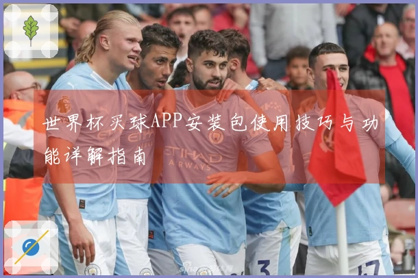 世界杯买球APP安装包使用技巧与功能详解指南