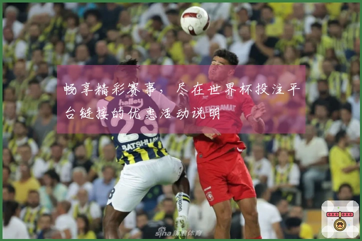 畅享精彩赛事，尽在世界杯投注平台链接的优惠活动说明