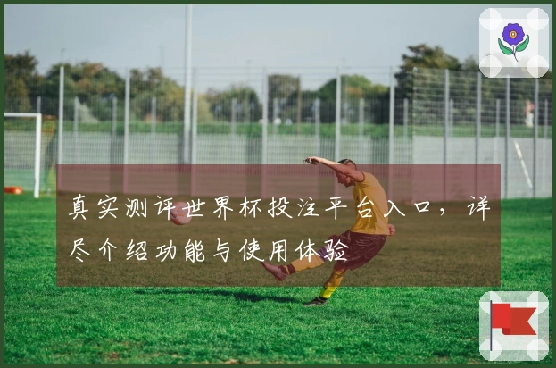 真实测评世界杯投注平台入口，详尽介绍功能与使用体验