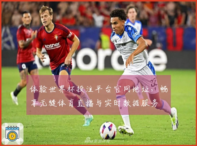 体验世界杯投注平台官网地址，畅享无缝体育直播与实时数据服务