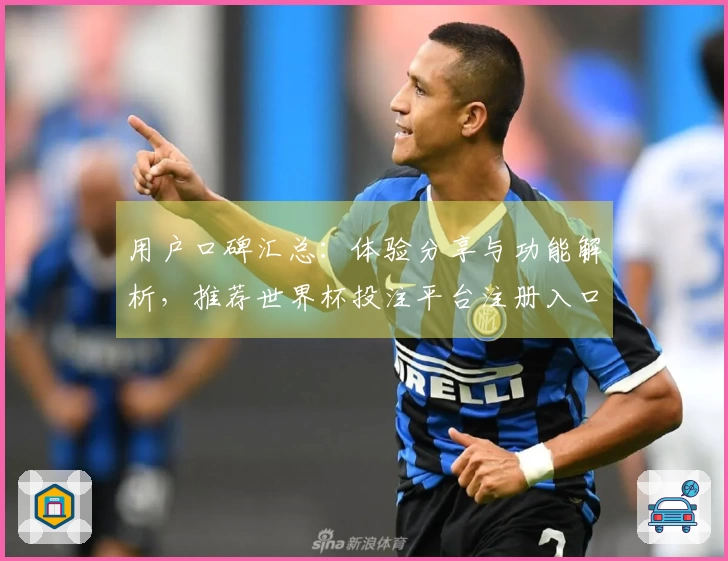 用户口碑汇总：体验分享与功能解析，推荐世界杯投注平台注册入口的使用体验