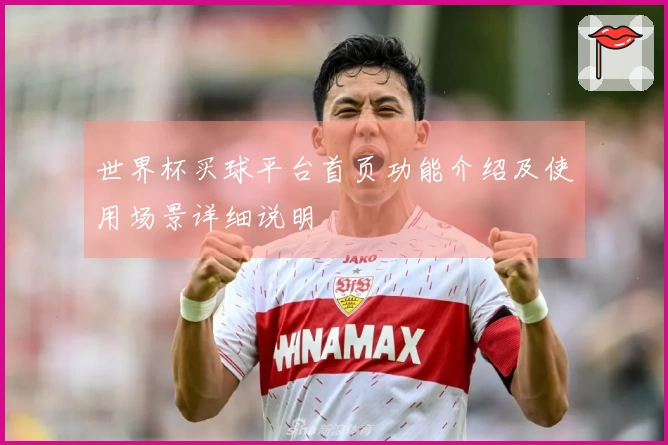 世界杯买球平台首页功能介绍及使用场景详细说明