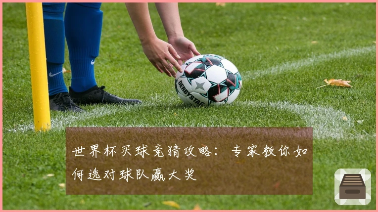 世界杯买球竞猜攻略：专家教你如何选对球队赢大奖