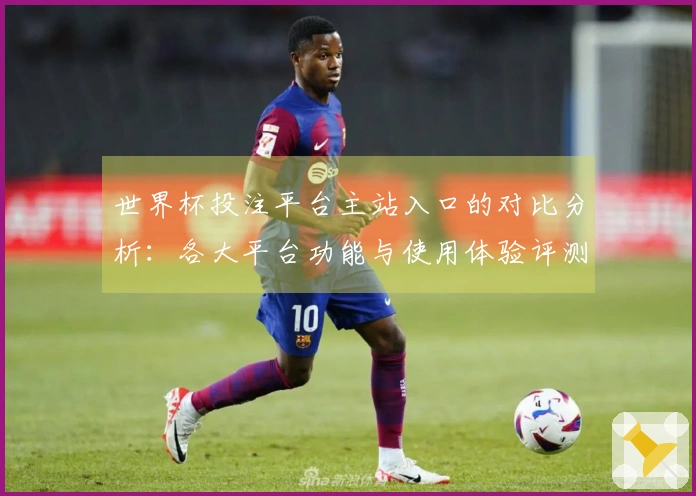 世界杯投注平台主站入口的对比分析：各大平台功能与使用体验评测